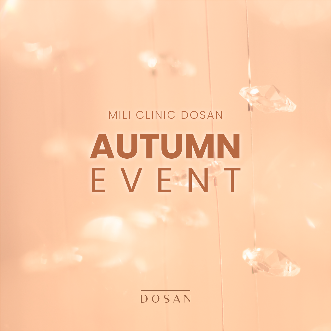 Autumn Promotion