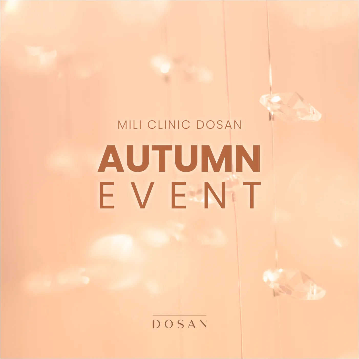 Autumn Promotion